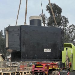 WhatsApp Image 2025-11-18 at 11.42.21 (2)